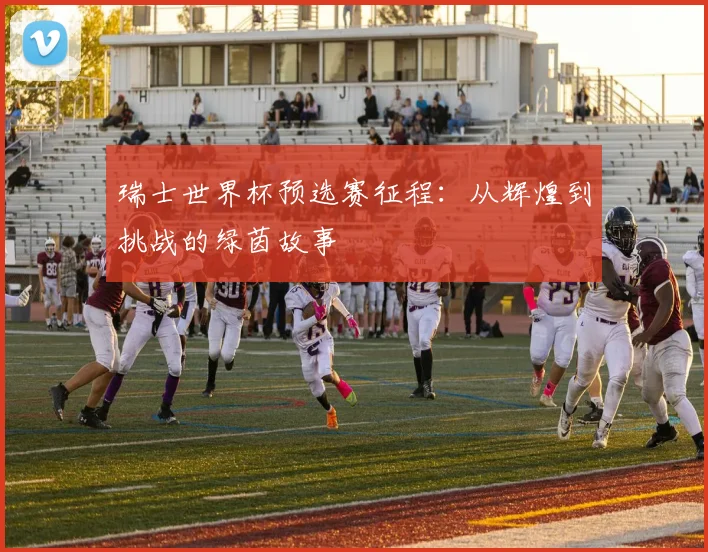 瑞士世界杯预选赛征程：从辉煌到挑战的绿茵故事