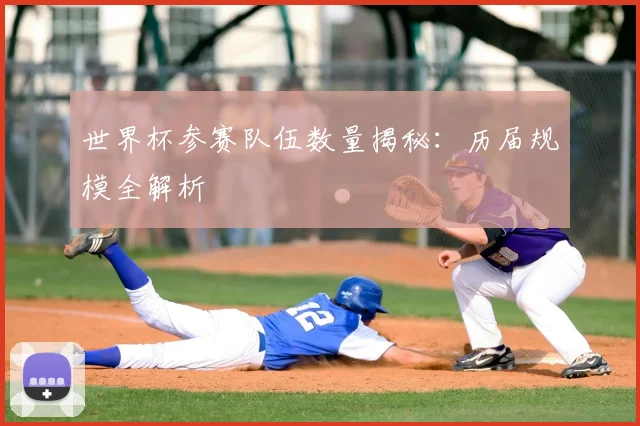 世界杯参赛队伍数量揭秘：历届规模全解析