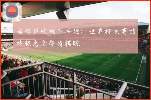 当哨声吹响下半场：世界杯决赛的终极悬念即将揭晓