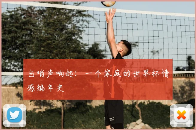 当哨声响起：一个家庭的世界杯情感编年史