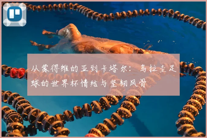 从蒙得维的亚到卡塔尔：乌拉圭足球的世界杯情结与坚韧风骨