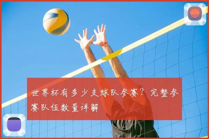 世界杯有多少支球队参赛？完整参赛队伍数量详解