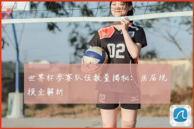 世界杯参赛队伍数量揭秘：历届规模全解析