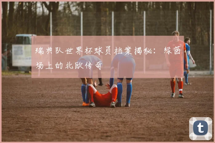 瑞典队世界杯球员档案揭秘：绿茵场上的北欧传奇