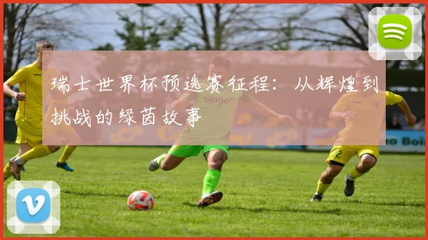 瑞士世界杯预选赛征程：从辉煌到挑战的绿茵故事